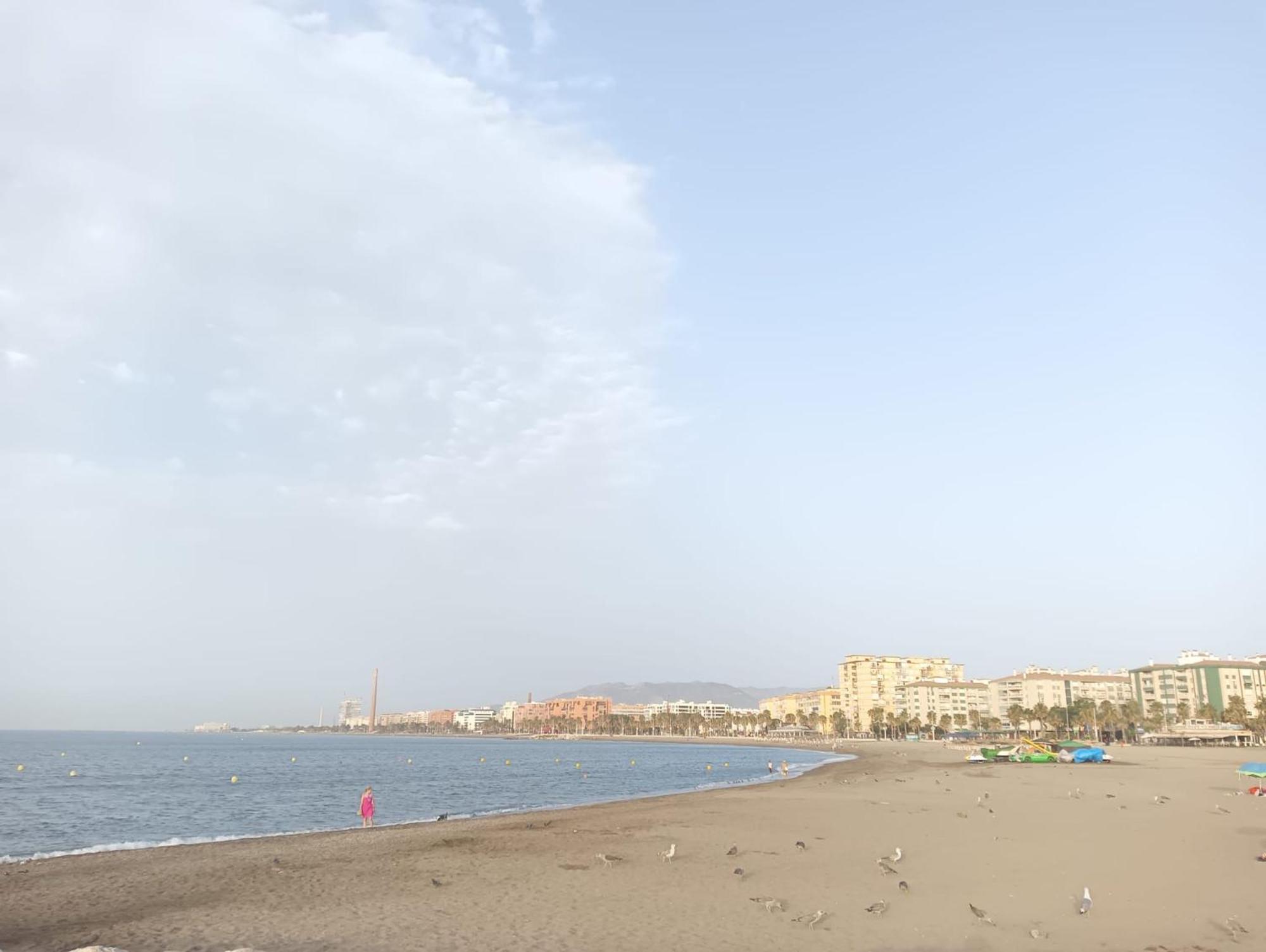 Holidays2Malaga Montesa 700M From The Beach Rooftop Terrace 外观 照片